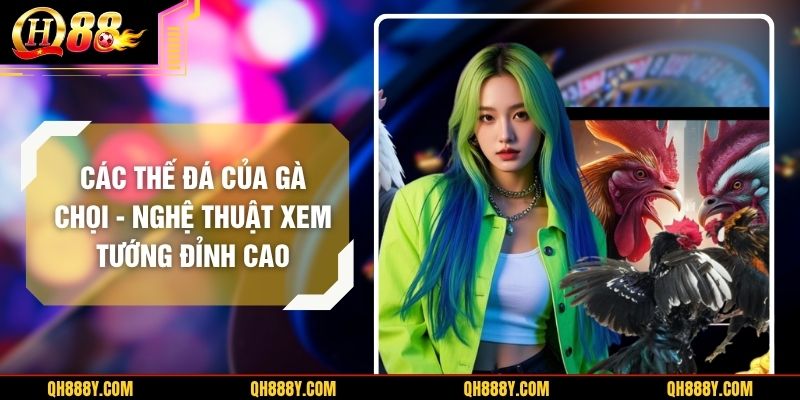Các Thế Đá Của Gà Chọi – Nghệ Thuật Xem Tướng Đỉnh Cao