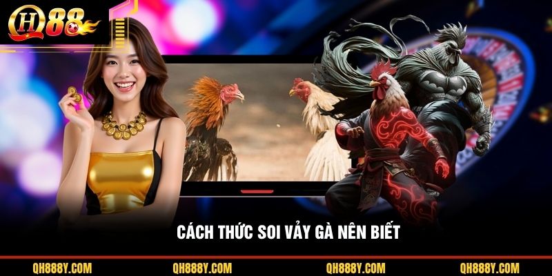 Cách thức soi vảy gà nên biết