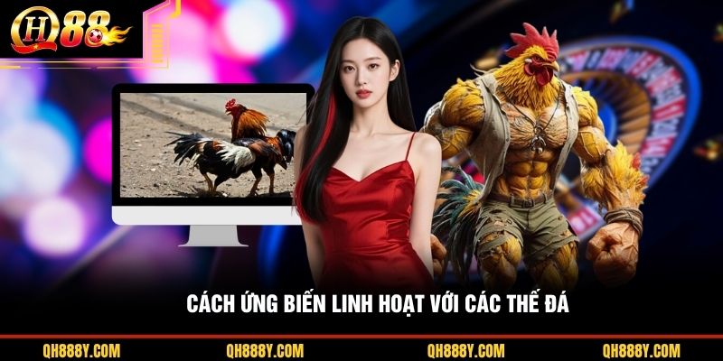 Cách ứng biến linh hoạt với các thế đá