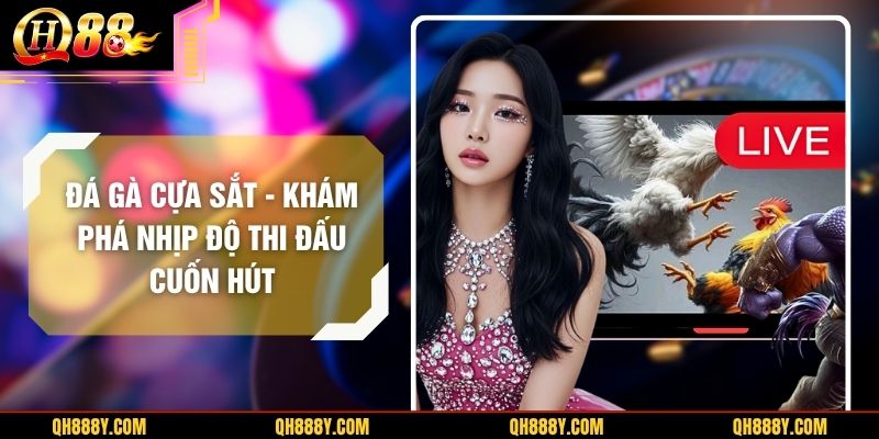 Đá Gà Cựa Sắt – Khám Phá Nhịp Độ Thi Đấu Cuốn Hút