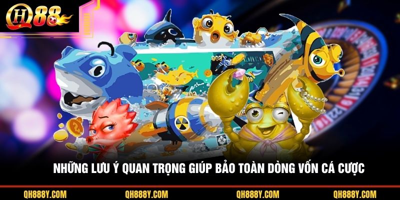 Những lưu ý quan trọng giúp bảo toàn dòng vốn cá cược