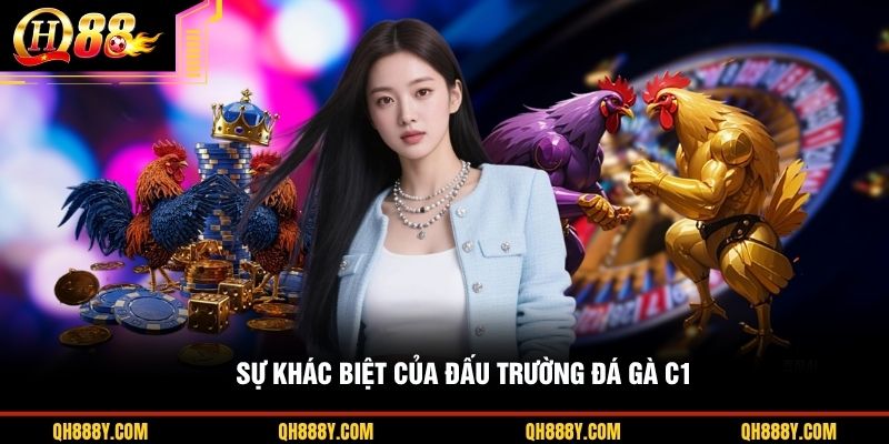 Sự khác biệt của đấu trường đá gà C1